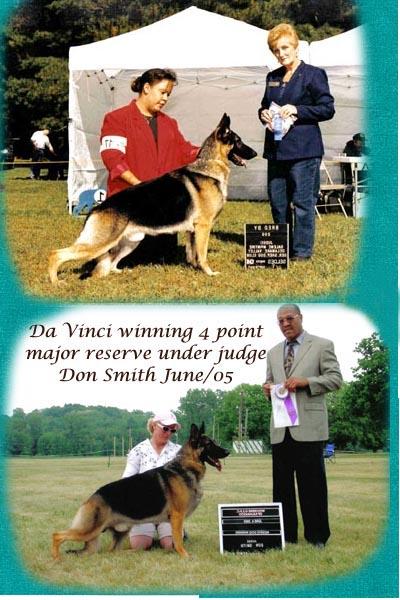 Stud Dogs in IN